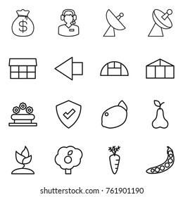Thin line icon set : money bag, call center, satellite antenna, market, left arrow, greenhouse, flower bed, protected, lemon, pear, sprouting, garden, carrot, peas