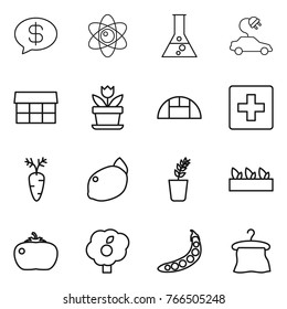 Thin line icon set : money message, atom, flask, electric car, market, flower, greenhouse, first aid, carrot, lemon, seedling, tomato, garden, peas, hanger
