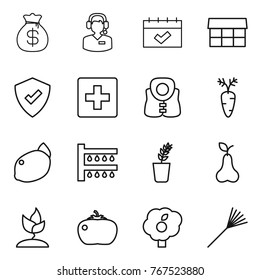 Thin line icon set : money bag, call center, calendar, market, protected, first aid, life vest, carrot, lemon, watering, seedling, pear, sprouting, tomato, garden, rake