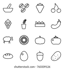 Thin line icon set : mortar, coffee seeds, berry, cherry, grape, seedling, eggplant, sheep, flower, pumpkin, tomato, bread, egg, acorn, potato