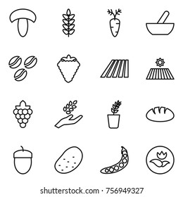 Thin line icon set : mushroom, spikelets, carrot, mortar, coffee seeds, berry, field, grape, harvest, seedling, bread, acorn, potato, peas, ecology