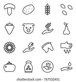 Thin line icon set : mushroom, potato, spikelets, seeds, berry, pig, harvest, pear, flower, hand leaf, horse, sow, tomato, fertilizer, ecology, and drop