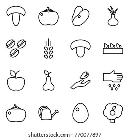 Thin line icon set : mushroom, tomato, beans, onion, coffee seeds, spikelets, seedling, apple, pear, hand leaf, sow, watering can, egg, garden