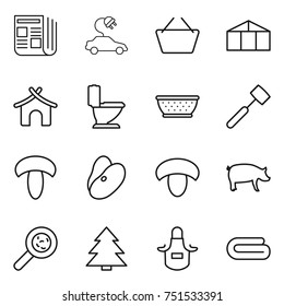 thin line icon set : newspaper, electric car, basket, greenhouse, bungalow, toilet, colander, meat hammer, mushroom, beans, pig, viruses, spruce, apron, towel