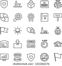 Thin Line Icon Set - no laptop vector, statistic monitor, lady bug, plant label, heart diagnostic, shield, medical calendar, package, search cargo, application, sertificate, warehouse, alcohol, flag