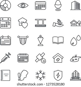 Thin Line Icon Set - office building vector, book, pennant, circle chart, syringe, eye, satellite, term, film frame, protect, calendar, copybook, house with tree, pond, sweet home, smart, egg stand