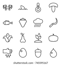 thin line icon set : palm hammock, shark flipper, thermometer, mushroom, fish, berry, rain cloud, sickle, corn, pear, sprouting, pumpkin, sow, egg, acorn, drop