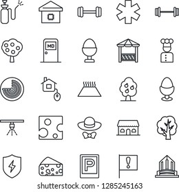 Thin Line Icon Set - parking vector, radar, medical room, tree, garden sprayer, ambulance star, barbell, important flag, protect, fruit, smart home, cook, egg stand, cafe building, dress code