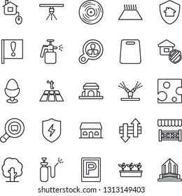 Thin Line Icon Set - parking vector, tree, seedling, garden sprayer, important flag, search cargo, vinyl, protect, data exchange, estate insurance, egg stand, cafe building, alcove, cutting board