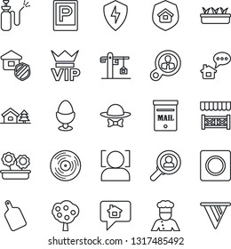 Thin Line Icon Set - parking vector, vip, seedling, garden sprayer, vinyl, protect, record, face id, house with tree, mailbox, fruit, flower in pot, crane, estate insurance, cook, egg stand, alcove