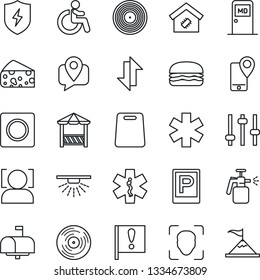 Thin Line Icon Set - parking vector, disabled, medical room, garden sprayer, ambulance star, important flag, mobile tracking, vinyl, protect, tuning, record, data exchange, face id, smart home