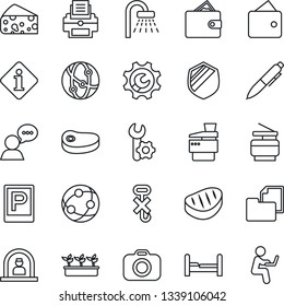 Thin Line Icon Set - parking vector, reception, shower, pen, seedling, folder document, no hook, shield, camera, network, speaker, root setup, printer, copier, bedroom, steak, cheese, information