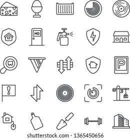 Thin Line Icon Set - parking vector, radar, medical room, trowel, garden sprayer, barbell, important flag, cargo container, search, vinyl, protect, data exchange, eye id, crane, estate insurance