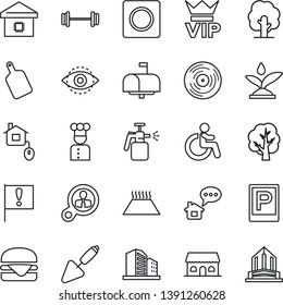 Thin Line Icon Set - parking vector, vip, disabled, trowel, tree, garden sprayer, barbell, important flag, vinyl, record, eye id, smart home, mailbox, cook, cafe building, hamburger, cutting board