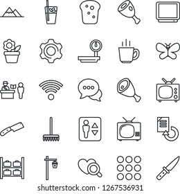 Thin Line Icon Set - passport control vector, elevator, luggage storage, document reload, flower in pot, rake, butterfly, garden light, heart diagnostic, heavy scales, tv, dialog, menu, settings