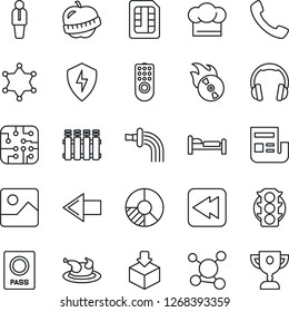 Thin Line Icon Set - passport vector, bed, left arrow, manager, circle chart, watering, diet, molecule, traffic light, package, flame disk, headphones, rewind, call, gallery, protect, sim, news