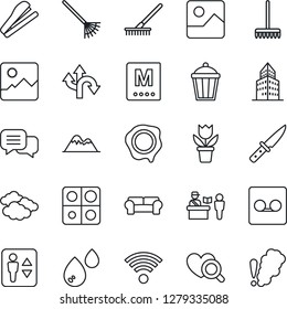 Thin Line Icon Set - passport control vector, elevator, clouds, stamp, flower in pot, rake, garden light, heart diagnostic, route, dialog, gallery, record, application, office building, stapler