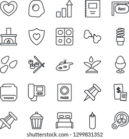 Thin Line Icon Set - passport vector, growth statistic, drawing pin, garden light, seeds, heart, shield, broken bone, hdmi, application, copybook, pond, rent, bedroom, fireplace, egg stand, candle