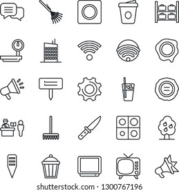 Thin Line Icon Set - passport control vector, luggage storage, coffee, stamp, rake, plant label, garden light, heavy scales, tv, dialog, settings, record, application, fruit tree, wireless, knife