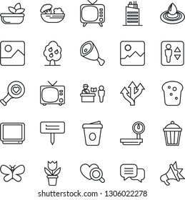 Thin Line Icon Set - passport control vector, elevator, tv, coffee, flower in pot, butterfly, plant label, garden light, heart diagnostic, route, heavy scales, dialog, gallery, fruit tree, salad