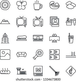 Thin Line Icon Set - passport control vector, clouds, airport building, checkroom, stamp, rake, butterfly, heart diagnostic, railroad, tv, gallery, photo, office, stapler, pool, mountains, menu