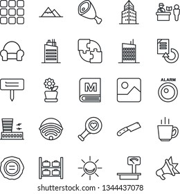 Thin Line Icon Set - passport control vector, luggage storage, airport building, document reload, stamp, plant label, heart diagnostic, heavy scales, menu, gallery, application, office, mountains