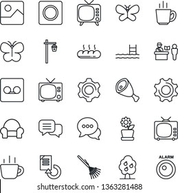 Thin Line Icon Set - passport control vector, tv, coffee, document reload, rake, butterfly, garden light, dialog, gallery, settings, record, pool, fruit tree, cushioned furniture, flower in pot, ham