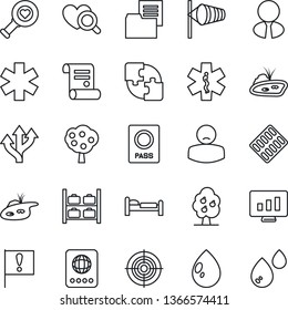 Thin Line Icon Set - passport vector, bed, wind, luggage storage, statistic monitor, contract, water drop, heart diagnostic, pills blister, ambulance star, patient, route, important flag, target