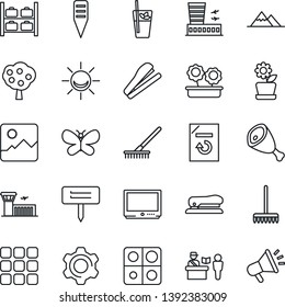 Thin Line Icon Set - passport control vector, luggage storage, airport building, document reload, rake, butterfly, plant label, tv, menu, gallery, settings, application, stapler, fruit tree, ham