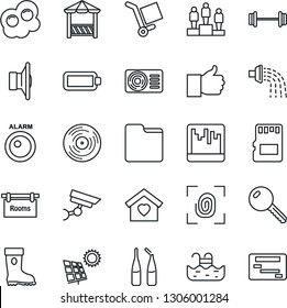Thin Line Icon Set - pedestal vector, watering, boot, ampoule, barbell, cargo, vinyl, speaker, finger up, scanner, sd, folder, battery, pool, sun panel, rooms, key, sweet home, air conditioner