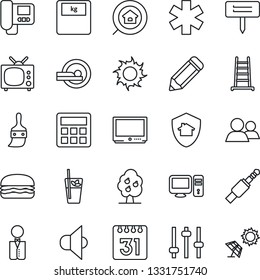 Thin Line Icon Set - pencil vector, ladder, sun, plant label, scales, tomography, ambulance star, speaker, tv, group, jack connector, tuning, themes, calculator, calendar, fruit tree, estate search