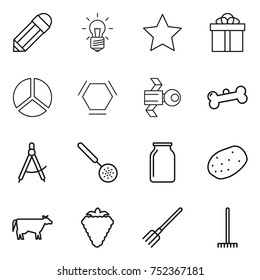 thin line icon set : pencil, bulb, star, gift, diagram, hex molecule, satellite, bone, draw compass, skimmer, bank, potato, cow, berry, fork, rake