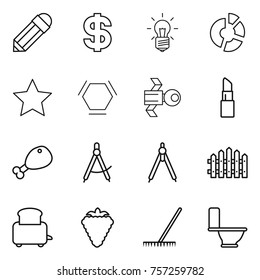 Thin line icon set : pencil, dollar, bulb, circle diagram, star, hex molecule, satellite, lipstick, chicken leg, draw compass, drawing compasses, fence, toaster, berry, rake, toilet