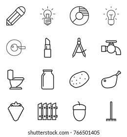 Thin line icon set : pencil, bulb, circle diagram, cell corection, lipstick, draw compass, water tap, toilet, bank, potato, chicken leg, berry, fence, acorn, rake