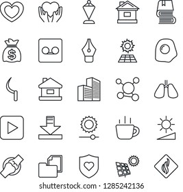 Thin Line Icon Set - pennant vector, money bag, coffee, house, sickle, heart, shield, hand, lungs, joint, molecule, folder document, play button, record, download, brightness, office building, book