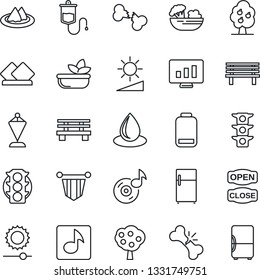 Thin Line Icon Set - pennant vector, statistic monitor, water drop, bench, dropper, broken bone, traffic light, low battery, brightness, music, fruit tree, serviette, salad, open close, fridge