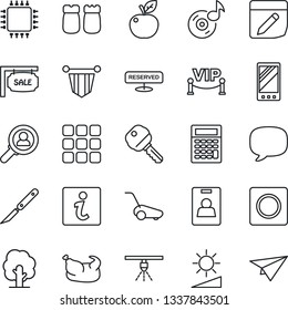 Thin Line Icon Set - pennant vector, tree, lawn mower, scalpel, mobile, menu, message, record, notes, brightness, music, identity card, sale, key, reserved, salt and pepper, vip zone, chicken, chip