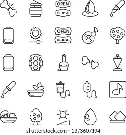 Thin Line Icon Set - pennant vector, water drop, dropper, broken bone, traffic light, low battery, themes, brightness, music, copier, fruit tree, salad, open close, serviette