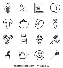 thin line icon set : perishable, landscape, flower in window, eggs, mushroom, tomato, beans, carrot, coffee seeds, flour, grape, harvest, seedling, watering can, ecology, rake