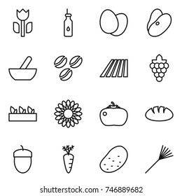 thin line icon set : perishable, vegetable oil, eggs, beans, mortar, coffee seeds, field, grape, seedling, flower, tomato, bread, acorn, carrot, potato, rake