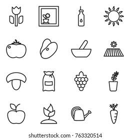 Thin line icon set : perishable, flower in window, vegetable oil, gas oven, tomato, beans, mortar, field, mushroom, flour, grape, seedling, apple, sprouting, watering can, carrot