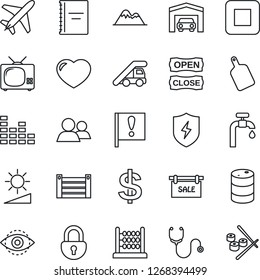 Thin Line Icon Set - plane vector, ladder car, dollar sign, stethoscope, important flag, container, oil barrel, equalizer, group, heart, stop button, protect, brightness, lock, eye id, copybook, tv