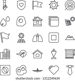 Thin Line Icon Set - plane vector, pennant, house, sun, heart, shield, lungs, stop button, compass, office building, blank box, tie, panel, mountains, estate search, omelette, water, jalousie, flag