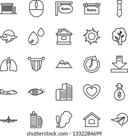 Thin Line Icon Set - plane vector, pennant, mouse, tree, house, sun, heart, lungs, eye, download, office building, tie, mountains, rooms, water, smoke detector, money bag, clock, paper
