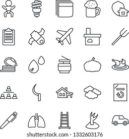 Thin Line Icon Set - plane vector, baby, clouds, document reload, farm fork, ladder, sproute, hose, sickle, pumpkin, fireplace, lungs, satellite, clipboard, blank box, copier, hierarchy, pen, beer