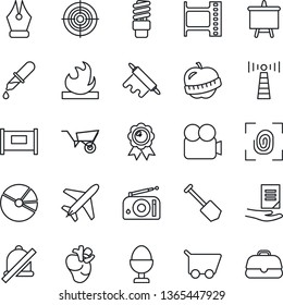 Thin Line Icon Set - plane vector, antenna, fence, medal, presentation board, document, job, wheelbarrow, dropper, real heart, diet, flammable, film frame, radio, video camera, mute, pie graph, cart