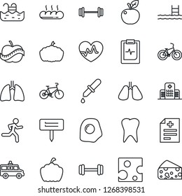 Thin Line Icon Set - plant label vector, pumpkin, heart pulse, diagnosis, dropper, ambulance car, barbell, bike, run, lungs, tooth, clipboard, diet, hospital, pool, bread, omelette, apple fruit