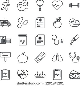 Thin Line Icon Set - plant label vector, pumpkin, seeds, heart pulse, diagnosis, stethoscope, dropper, patch, ambulance car, barbell, run, lungs, implant, clipboard, hospital, salad, bread, omelette