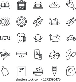 Thin Line Icon Set - plant label vector, seeds, diet, serviette, cafe, reserved, beer, salad, plates, salt and pepper, bread, building, table, vip zone, dress code, alcove, restaurant receipt, kebab
