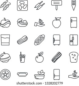 Thin Line Icon Set - plant label vector, diet, fridge, drink, phyto bar, salad, bacon, bread, kebab, hot dog, apple fruit, fan, palm sproute